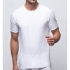 577-abanderado-camiseta-hombre-algodon