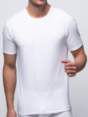 577-abanderado-camiseta-hombre-algodon